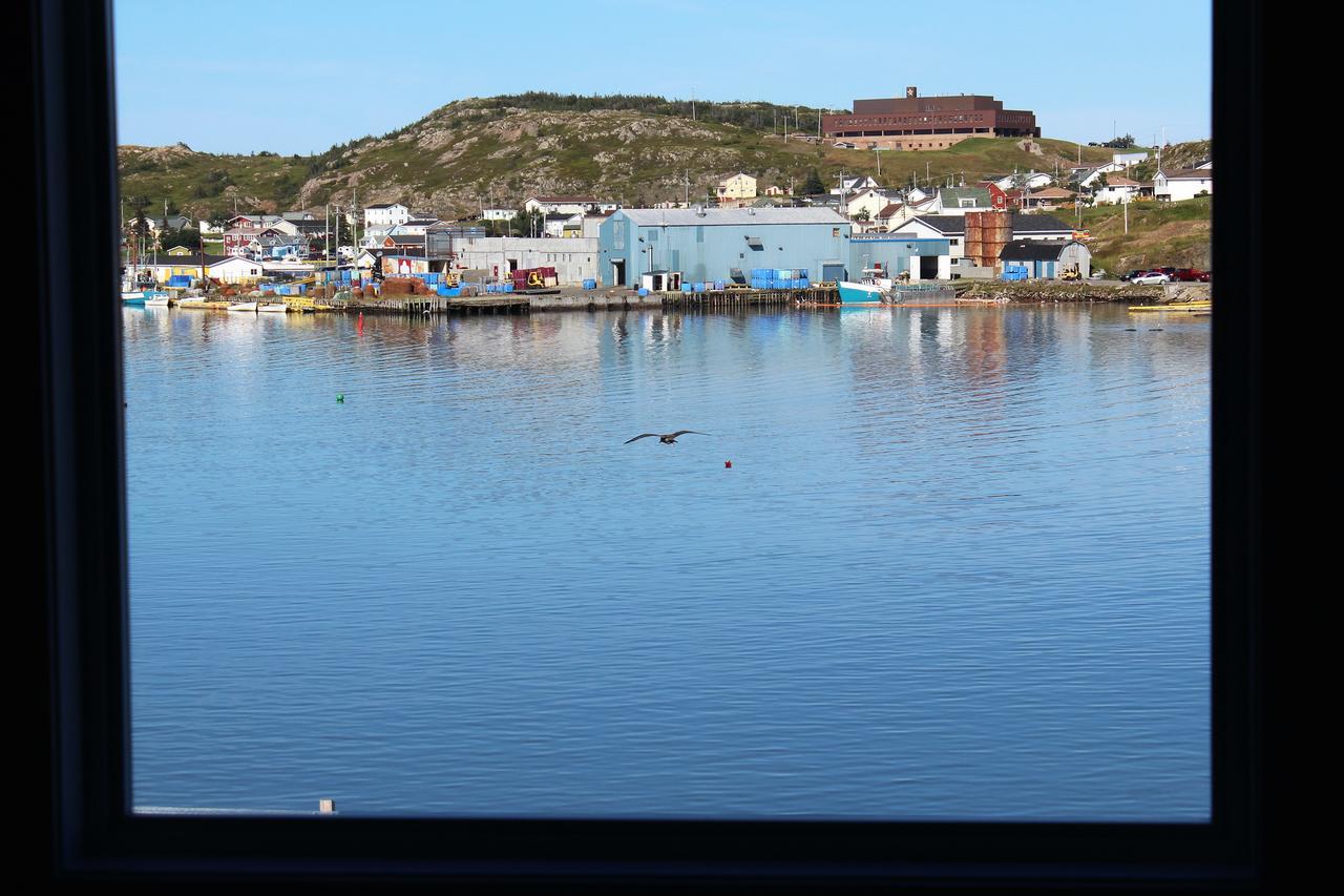 Отель Twillingate & Beyond Inc. Экстерьер фото